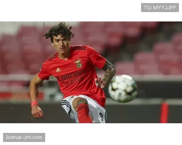 努涅斯本菲卡时期数据含金量：效率、战术角色与成长上限解析